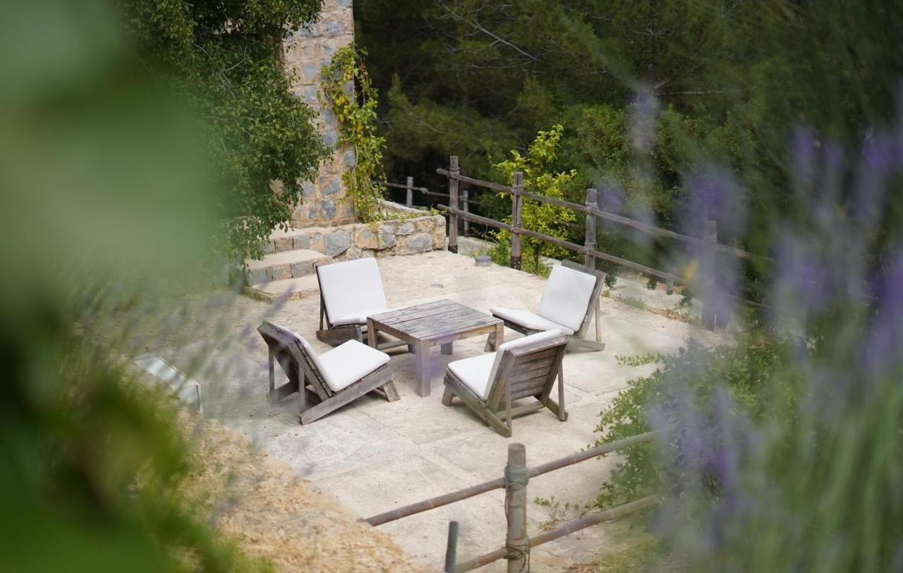 Blue Jay Valley Jezzîne Exterior foto