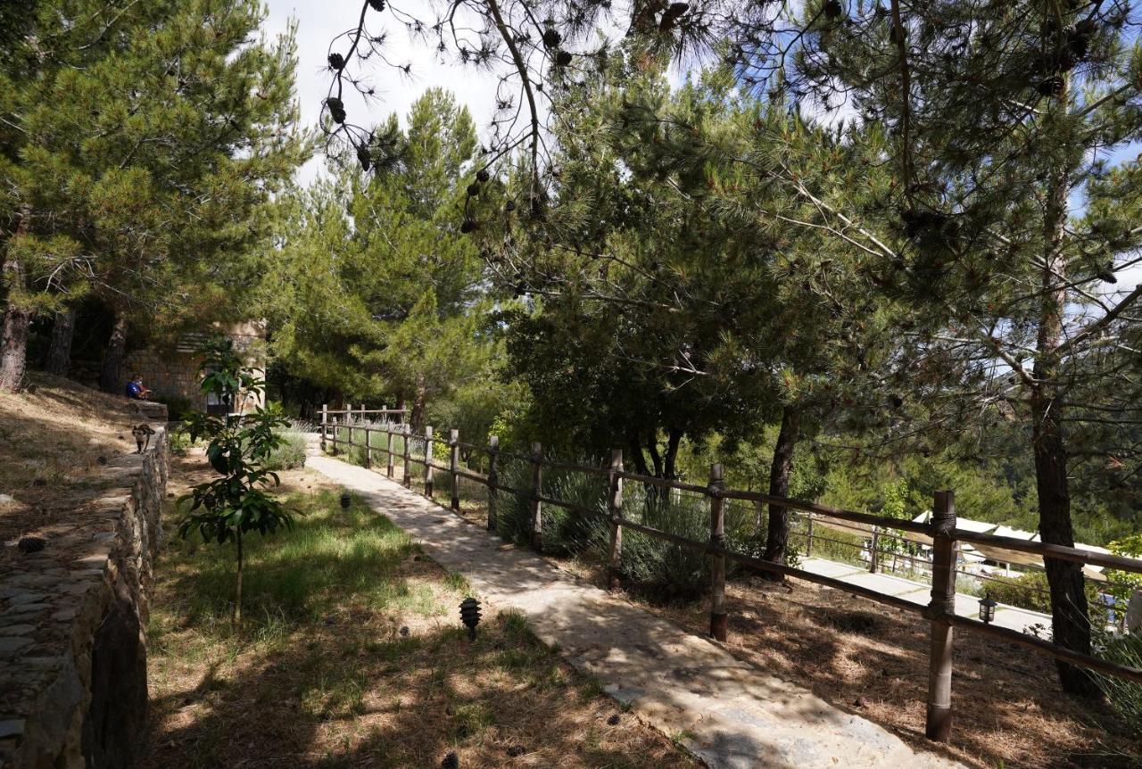 Blue Jay Valley Jezzîne Exterior foto