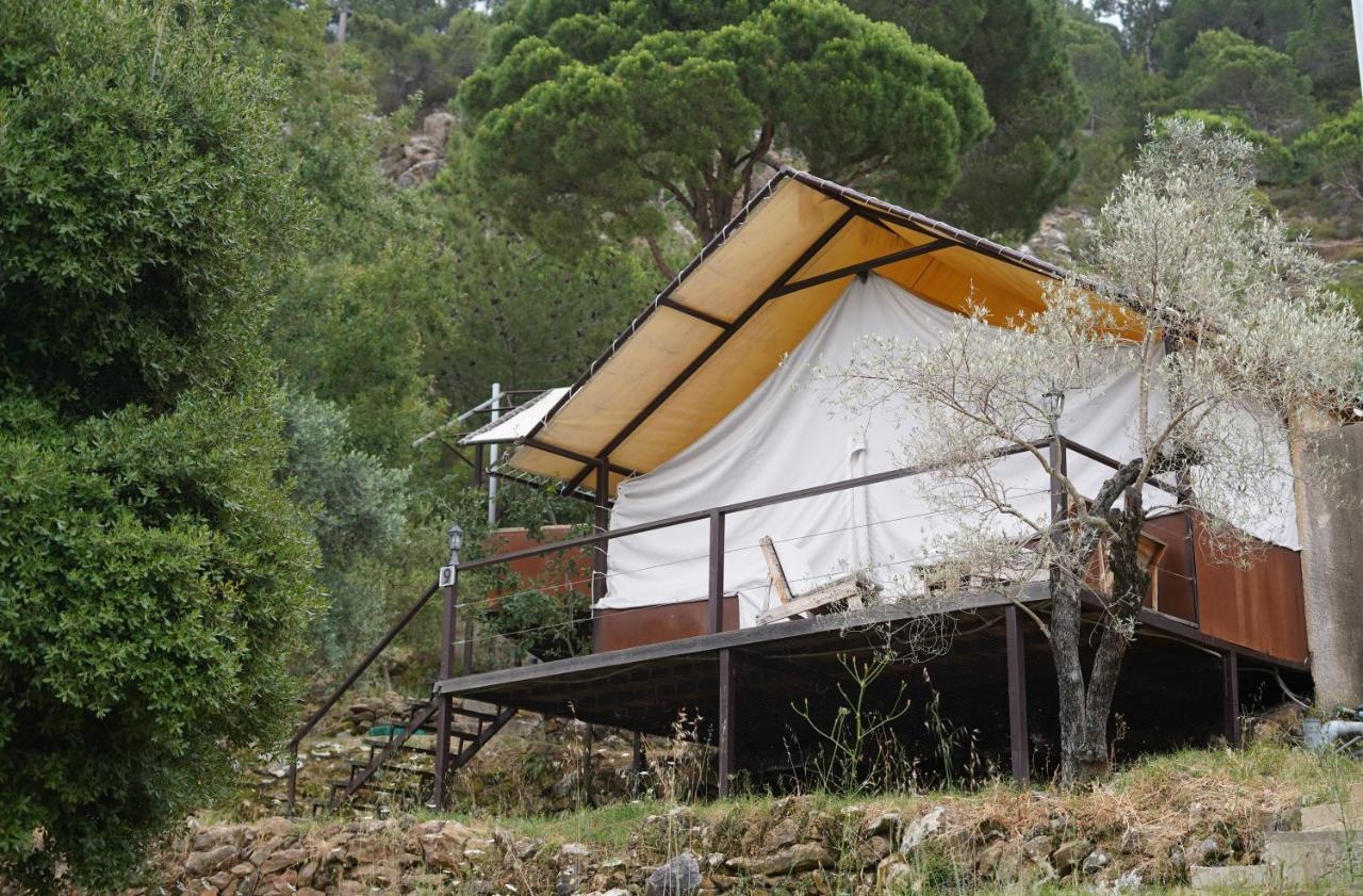 Blue Jay Valley Jezzîne Exterior foto